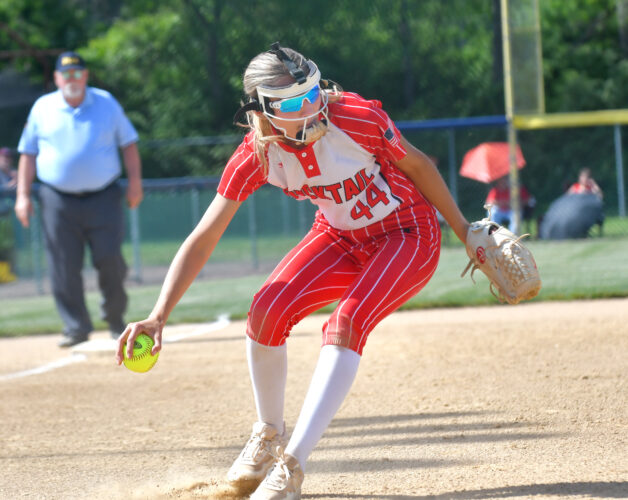 Bucktail softball caps historic campaign in PIAA Class A quarters
